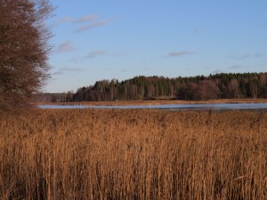 upeasyyspäivä2013